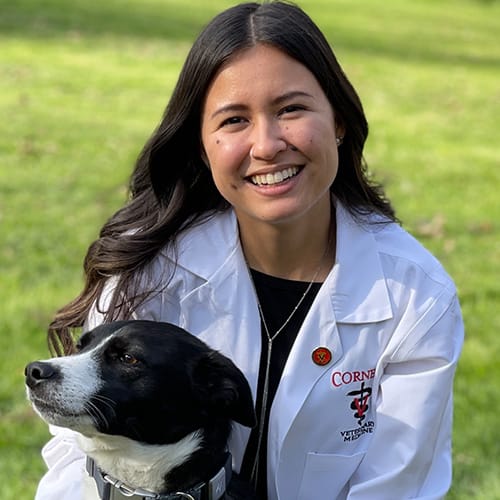 Dr. Simone Yen, Kent Veterinarian